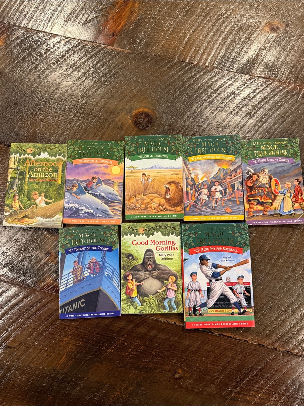 Magic Tree House Kids Book Set – Green Covers Collection